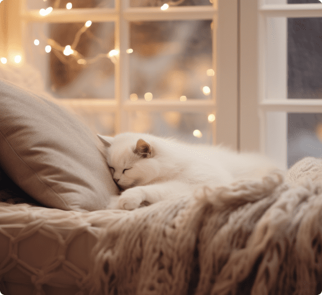 Heating Installation Dumfries